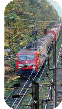 bild_zum_thema